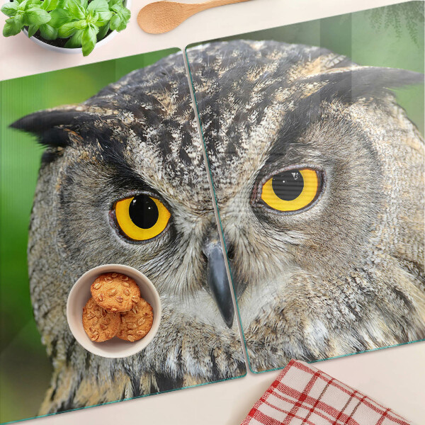 Schneidebrett Glas mit Motiv einer Eule mit ausdrucksstarken Augen