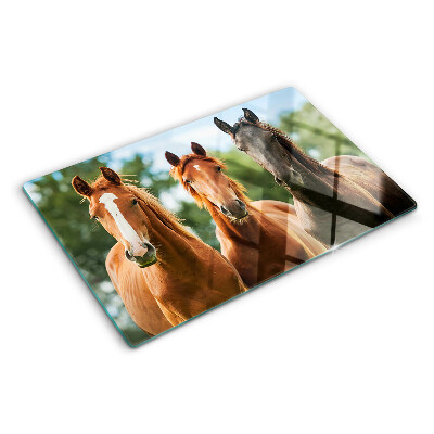 Glas-Schneidebrett mit Pferdemotiv vor Naturlandschaft