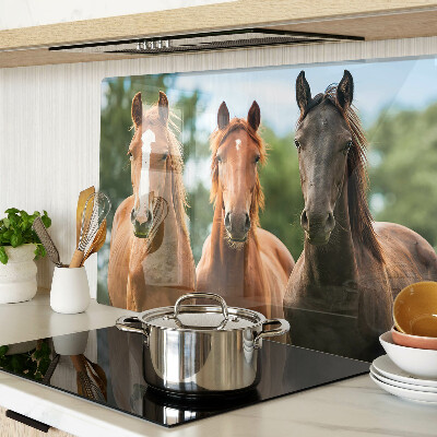 Glas-Schneidebrett mit Pferdemotiv vor Naturlandschaft