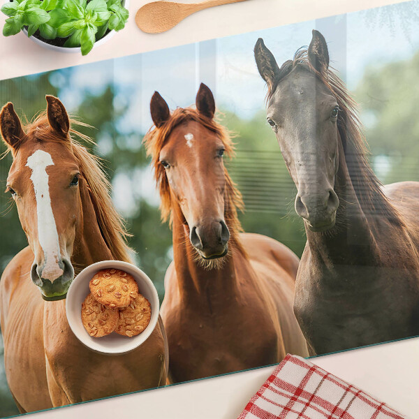 Glas-Schneidebrett mit Pferdemotiv vor Naturlandschaft