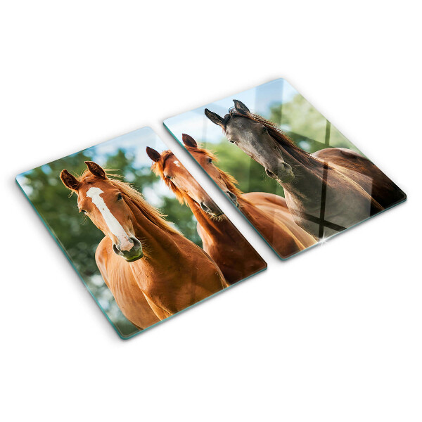 Glas-Schneidebrett mit Pferdemotiv vor Naturlandschaft