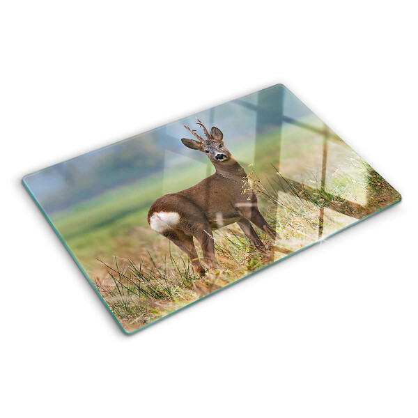 Schneidebrett glas Reh in seinem natürlichen Lebensraum