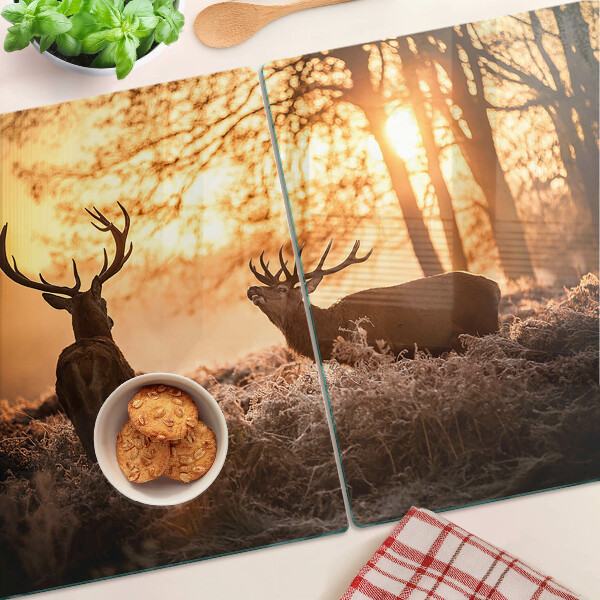 Schneidebrett Hirsche im Wald bei Sonnenuntergang