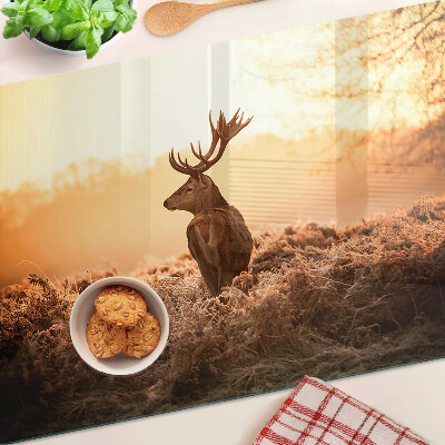 Schneidebrett glas Hirsche vor dem Hintergrund des Sonnenuntergangs