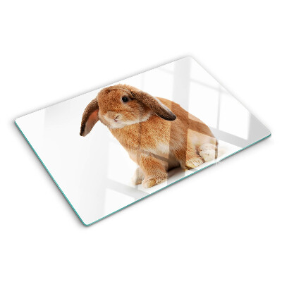 Glas schneidebrett Kaninchen auf weißem Hintergrund