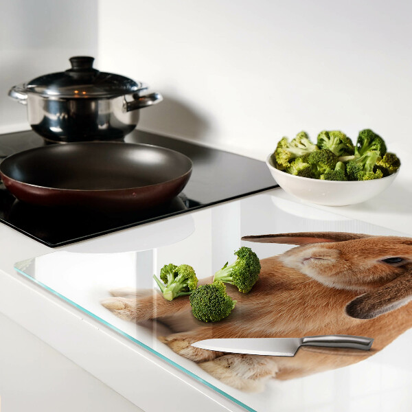 Glas schneidebrett Kaninchen auf weißem Hintergrund