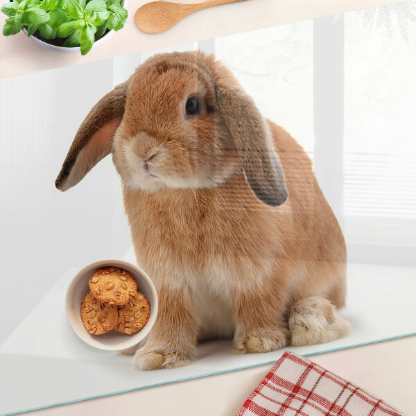 Glas-Schneidebrett mit Motiv eines Kaninchens vor weißem Hintergrund