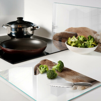 Glas-Schneidebrett mit Motiv eines Kaninchens vor weißem Hintergrund