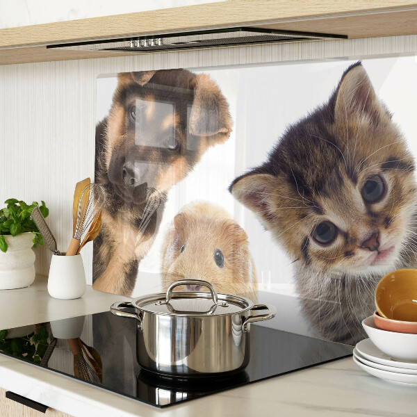 Schneidebrett Glas für Hunde, Katzen und Kaninchen