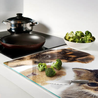 Schneidebrett Glas für Hunde, Katzen und Kaninchen