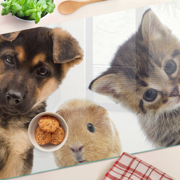 Schneidebrett Glas für Hunde, Katzen und Kaninchen