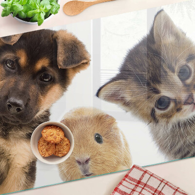Schneidebrett Glas für Hunde, Katzen und Kaninchen