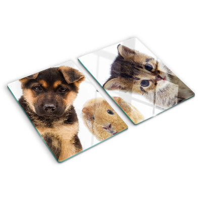 Schneidebrett glas Hunde, Katzen, Kaninchen