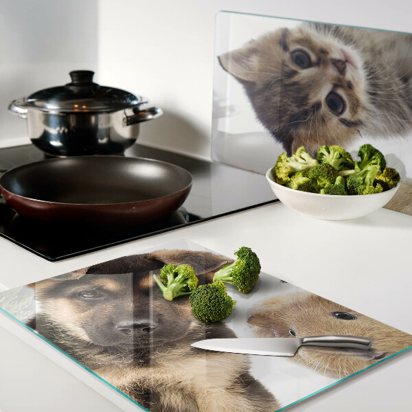 Schneidebrett Glas für Hunde, Katzen und Kaninchen