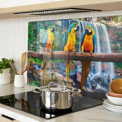 Schneidebrett glas Papageien auf einem Ast in einem tropischen Wald