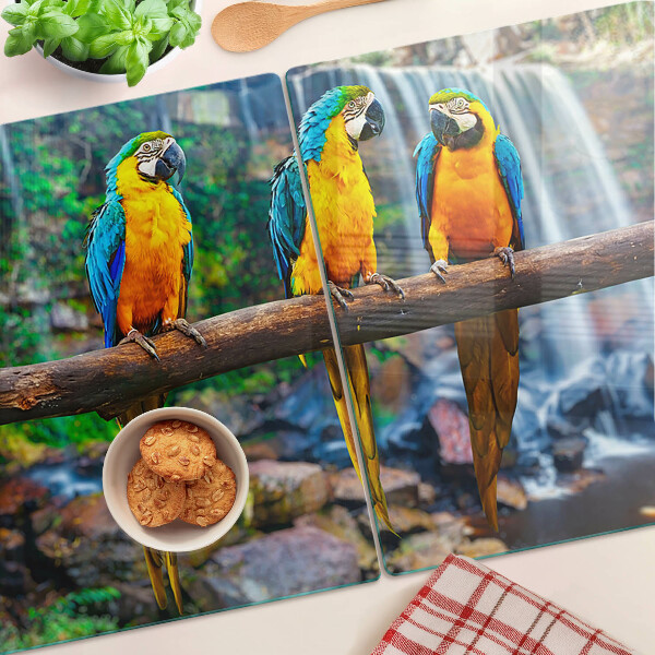 Schneidebrett Glas mit Motiv Papageien auf einem Ast in einem tropischen Wald