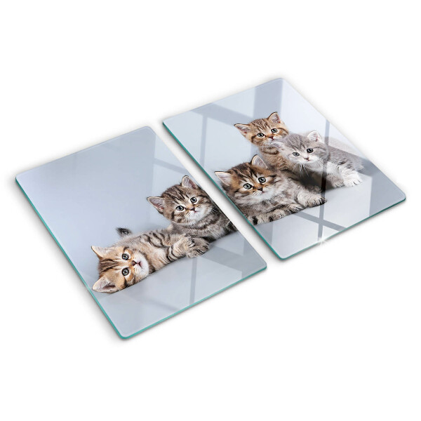 Glas-Schneidebrett mit Motiv Katzen vor einem Fenster