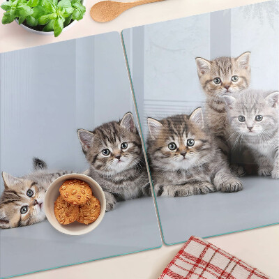 Glas schneidebrett Katzen im Hintergrund des Fensters