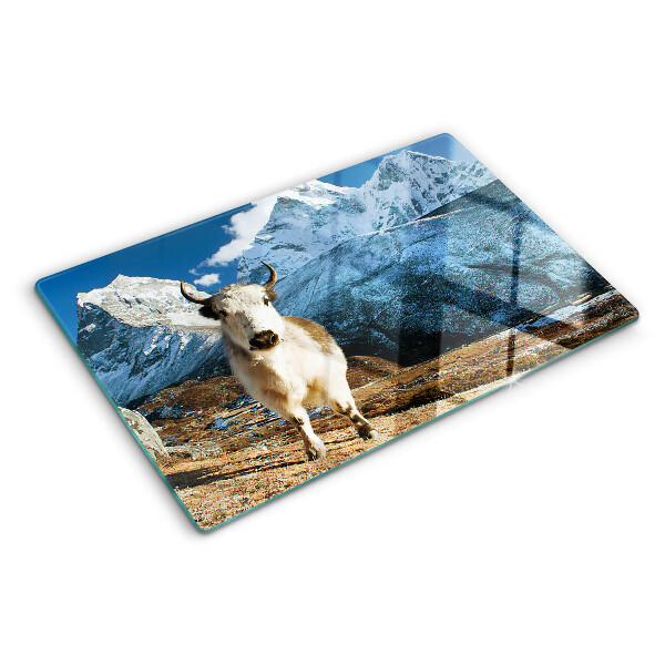 Schneidebrett Kuh in den Bergen