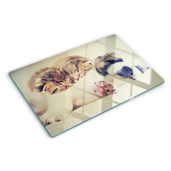 Schneidebrett Glas mit Motiv von schlafenden Katzen und einem Hund