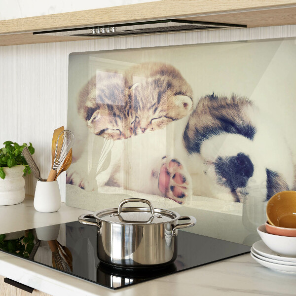 Schneidebrett Glas mit Motiv von schlafenden Katzen und einem Hund