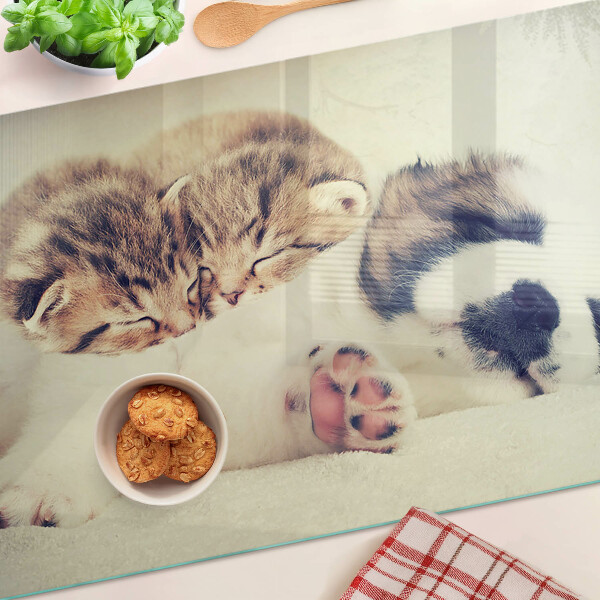 Schneidebrett glas Katzen und ein Hund schlafen zusammen