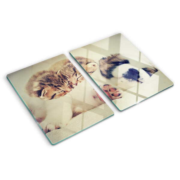Schneidebrett Glas mit Motiv von schlafenden Katzen und einem Hund