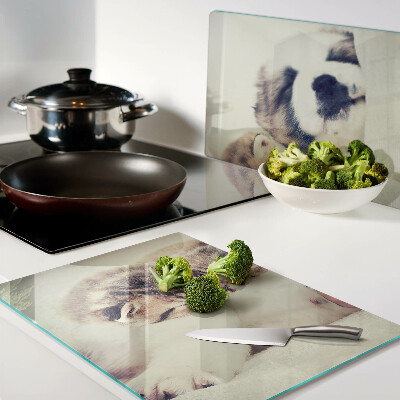 Schneidebrett Glas mit Motiv von schlafenden Katzen und einem Hund