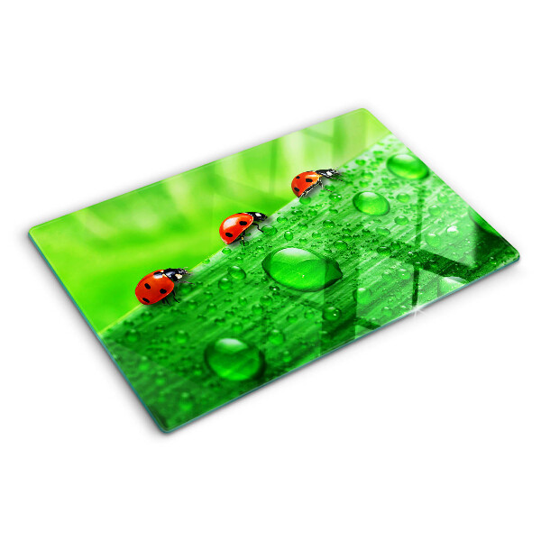 Schneidebrett mit einem Marienkäfer auf grünem Hintergrund