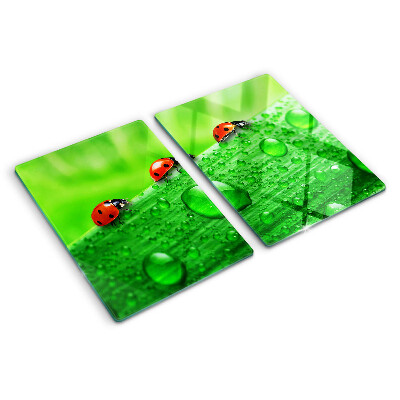 Schneidebrett mit einem Marienkäfer auf grünem Hintergrund