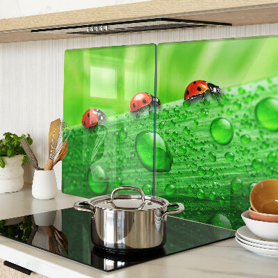 Schneidebrett mit einem Marienkäfer auf grünem Hintergrund