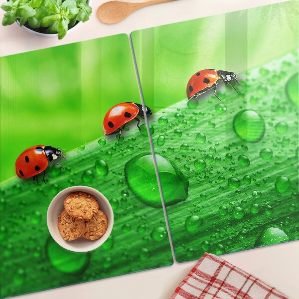 Schneidebrett Marienkäfer auf grünem Hintergrund