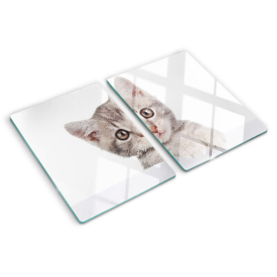 Schneidebrett glas Kätzchen mit großen Augen