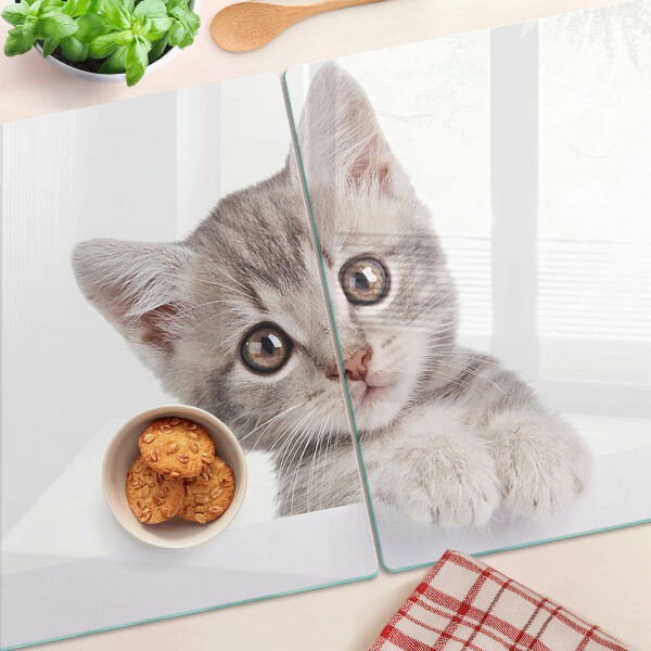 Schneidebrett glas Kätzchen mit großen Augen
