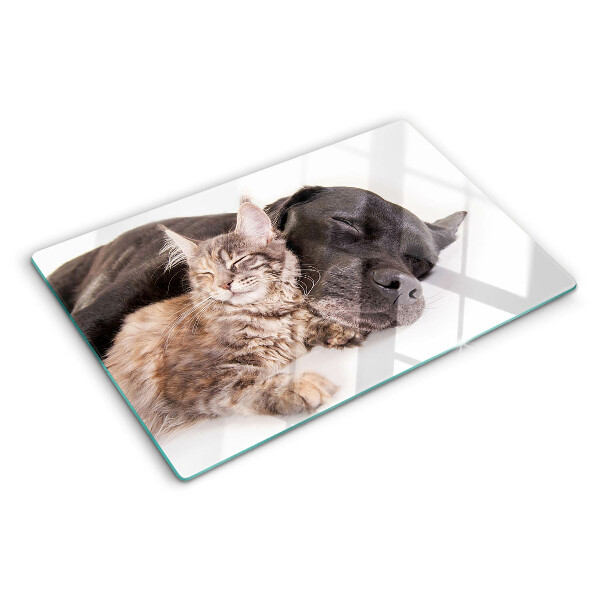 Schneidebrett glas Katze und Hund schlafen zusammen