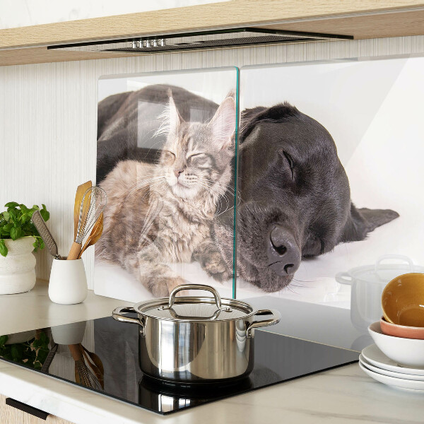 Schneidebrett glas Katze und Hund schlafen zusammen