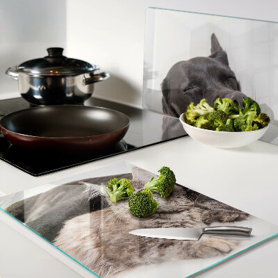 Schneidebrett glas Katze und Hund schlafen zusammen