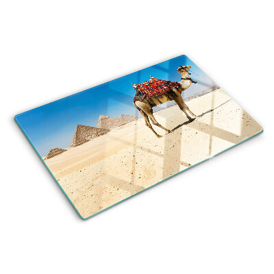 Schneidebrett glas Pyramiden und ein Kamel in der Wüste
