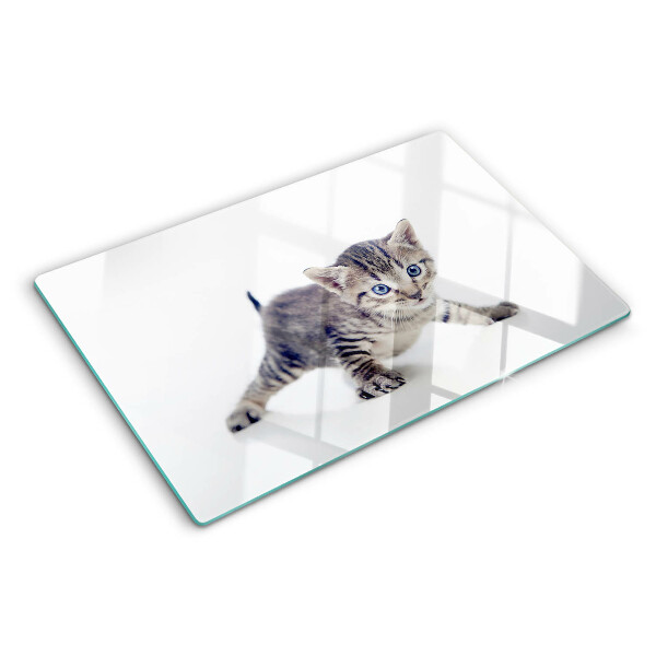 Schneidebrett Glas mit Kätzchenmotiv und blau leuchtenden Augen