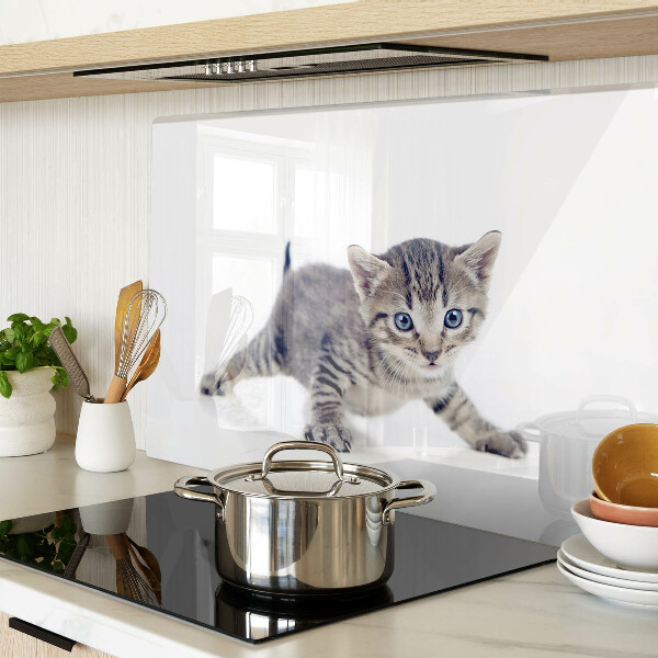 Schneidebrett Glas mit Kätzchenmotiv und blau leuchtenden Augen