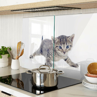 Schneidebrett glas Kätzchen mit blauen Augen
