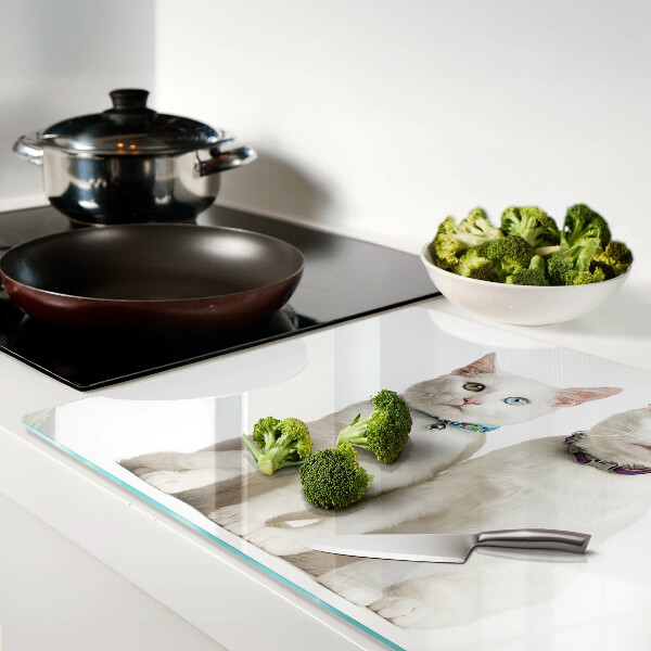 Glas schneidebrett Weiße Katzen mit verschiedenfarbigen Augen