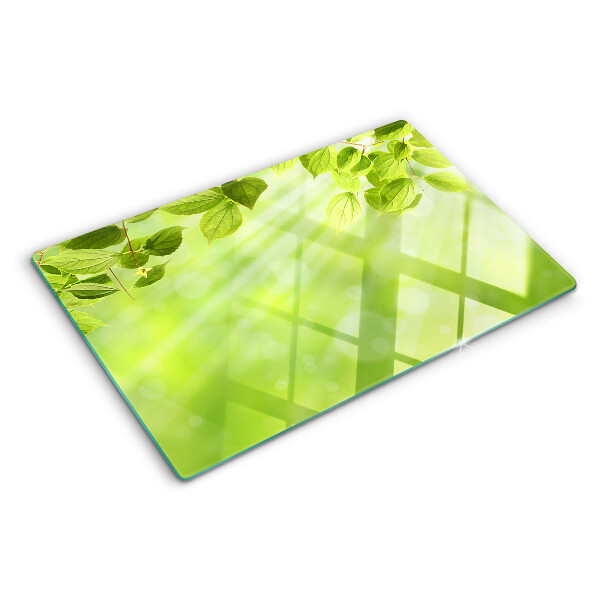 Schneidebrett glas Grüne Blätter im Licht