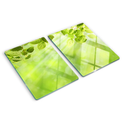 Schneidebrett glas Grüne Blätter im Licht
