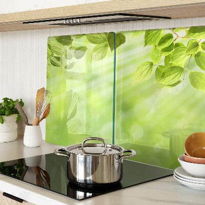 Schneidebrett glas Grüne Blätter im Licht