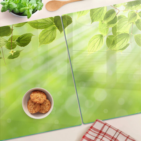 Schneidebrett glas Grüne Blätter im Licht