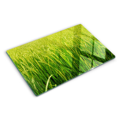 Schneidebrett glas Grüne Graswiese