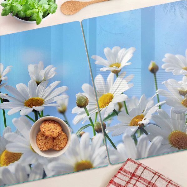 Schneidebrett glas Gänseblümchen auf blauem Hintergrund