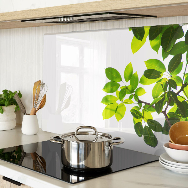 Schneidebrett Blätter vor hellem Himmel