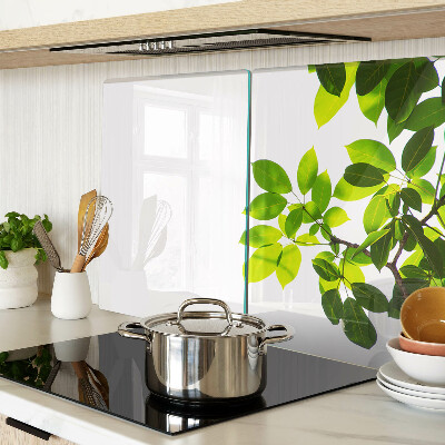 Schneidebrett Blätter vor hellem Himmel